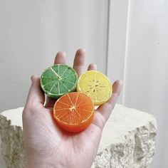 a hand holding three slices of fruit on top of a rock