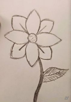 a pencil drawing of a flower with leaves