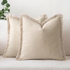 two pillows sitting on top of a white couch next to a potted green plant