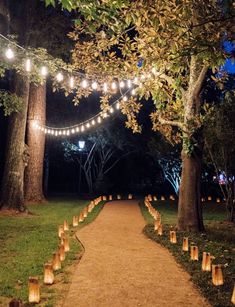 a path lined with lit candles in the middle of a park at night, surrounded by trees and string lights