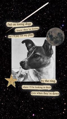 a dog is looking up at the sky with stars and moon in it's background