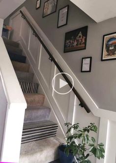 stairs with pictures on the wall above them and a potted plant next to it