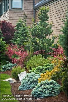 a garden with trees and shrubs in front of a house