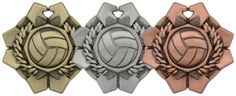 three medals are shown side by side in different colors and shapes, one with a volleyball ball on it