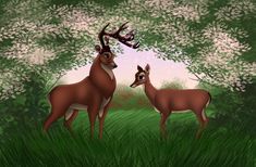 two deer standing next to each other on a lush green field