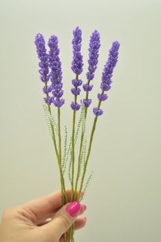 a person holding some purple flowers in their hand