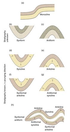 different types of waveforms and their corresponding waves are shown in this diagram, which shows the