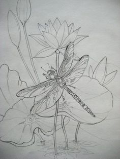 a drawing of a dragonfly sitting on top of a lily