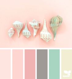 seashells are arranged in different colors on a pink background with the color scheme below them