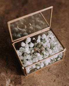 two wedding rings sitting in a box filled with white flowers on the floor next to each other