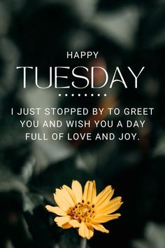 a yellow flower with the words happy tuesday on it