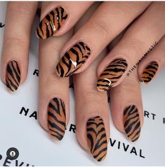 Lion Print Nails, Tiger Print Nail Art Designs, Nail Tiger Design, Tiger Nails Art, Tiger Print Nail Designs, Tiger Design Nails, Tiger Nail Art Design, Lion Nails Designs, Tiger Print French Tip Nails