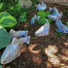 some fish are laying on the ground next to plants