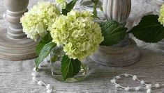 two vases filled with green flowers on top of a table covered in white beads