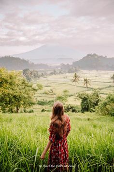 a woman in a red dress is walking through tall grass with mountains in the background