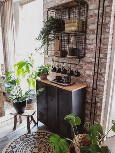 a living room filled with lots of plants next to a wall mounted potted plant