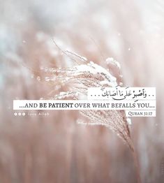 a quote written in arabic on a blurry background with some flowers and grass behind it