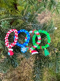 christmas wreaths are hanging on the branches of a tree in front of some pine needles