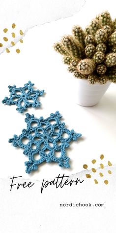 two crocheted snowflakes next to a potted cactus