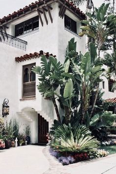 a white house with lots of plants in front of it