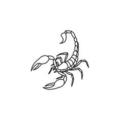 a black and white drawing of a scorpion