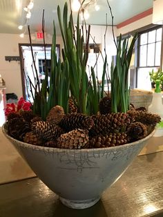 a white bowl filled with lots of pine cones