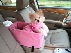 a small dog sitting in the back seat of a car with a pink bag on it's lap