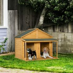 two dogs in a dog house on the grass