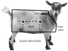 a goat is shown with the names of its body and parts labeled in black and white