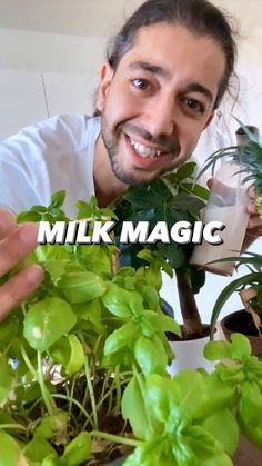 a man is smiling and holding up some plants in front of him with the words milk magic on it