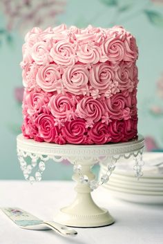 a close up of a cake on a plate with pink frosting and rosettes