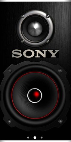 the sony logo is shown above two speakers