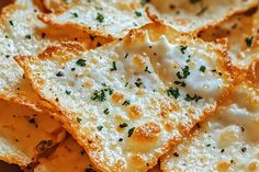 a plate full of cheesy crackers with cheese on top