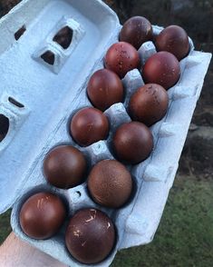 a person holding an egg carton filled with brown eggs