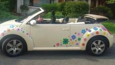 a white car with flowers painted on it's side