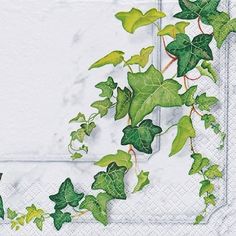 a white paper with green leaves and vines on the edges, in front of a window