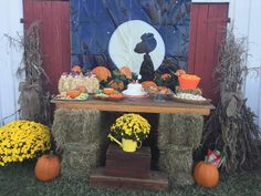 a table with hay bales and pumpkins on it