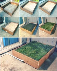 the steps are made out of wood and have grass growing on them to create a bed