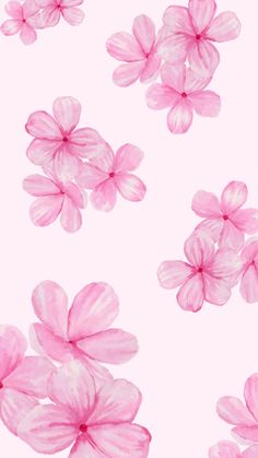 some pink flowers on a white background