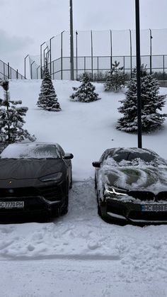 two cars covered in snow next to trees