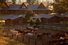 many horses are standing around in the fenced area next to some houses and trees