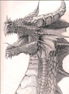 a pencil drawing of a dragon