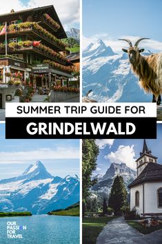 the top things to see and do in grindelwald, switzerland with text overlay reading summer trip guide for grindelwald