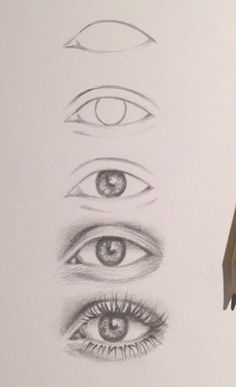 a pencil drawing of different types of eyes