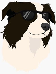 a black and white dog wearing sunglasses