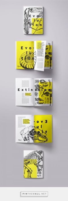 three folded brochures with yellow and black designs