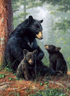 two black bears and one brown bear are sitting in front of a tree with fog