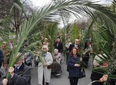 many people are walking through the palm trees in an area with lots of green plants