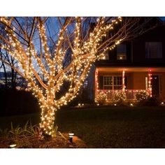 a lighted tree in front of a house