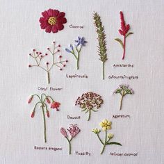 embroidered flowers and their names on a white cloth